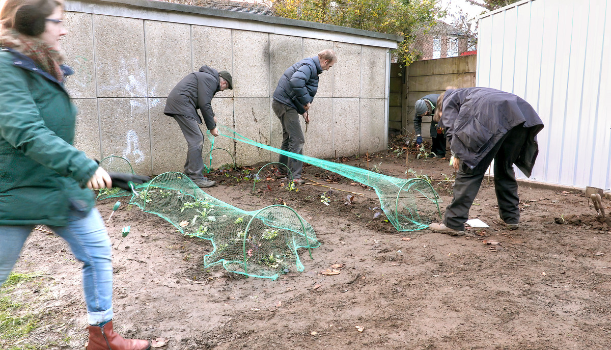 Community Garden